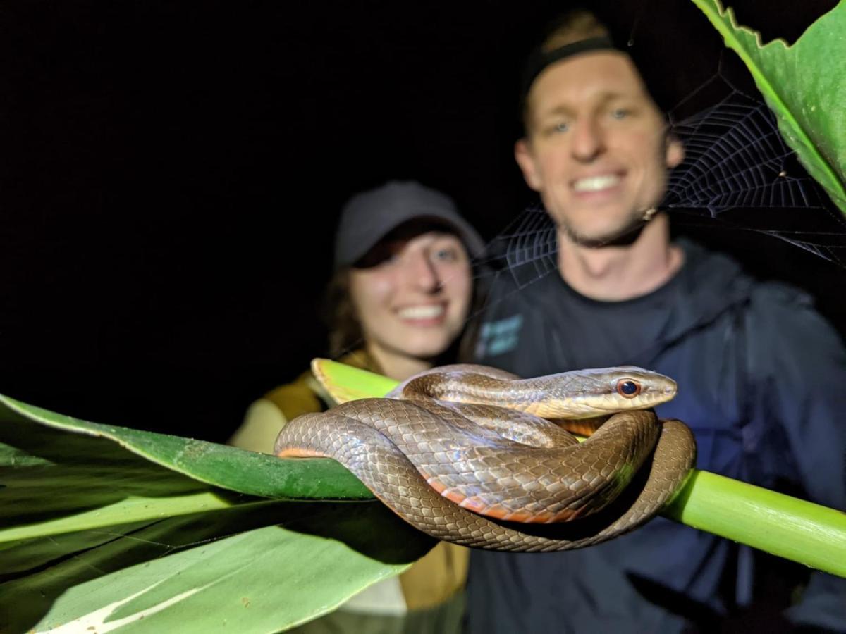Casa Chilamates 2.0 Tortuguero Luaran gambar