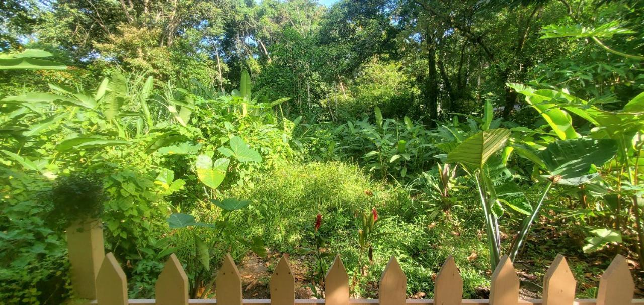 Casa Chilamates 2.0 Tortuguero Luaran gambar